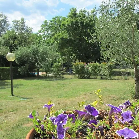 Holiday home Coltifredi Mercatale Val Di Pesa
